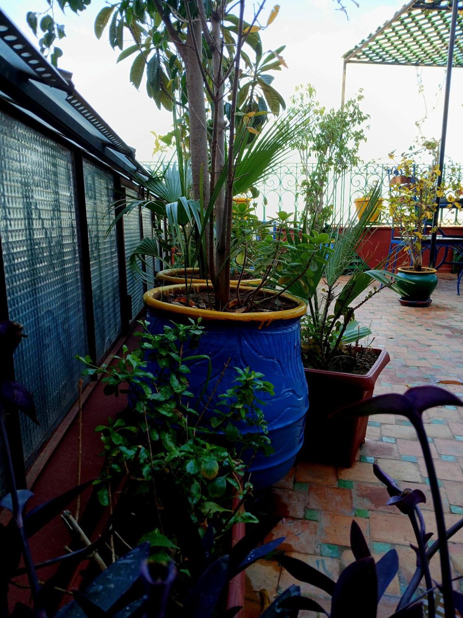 Riad Idrissi メクネス エクステリア 写真
