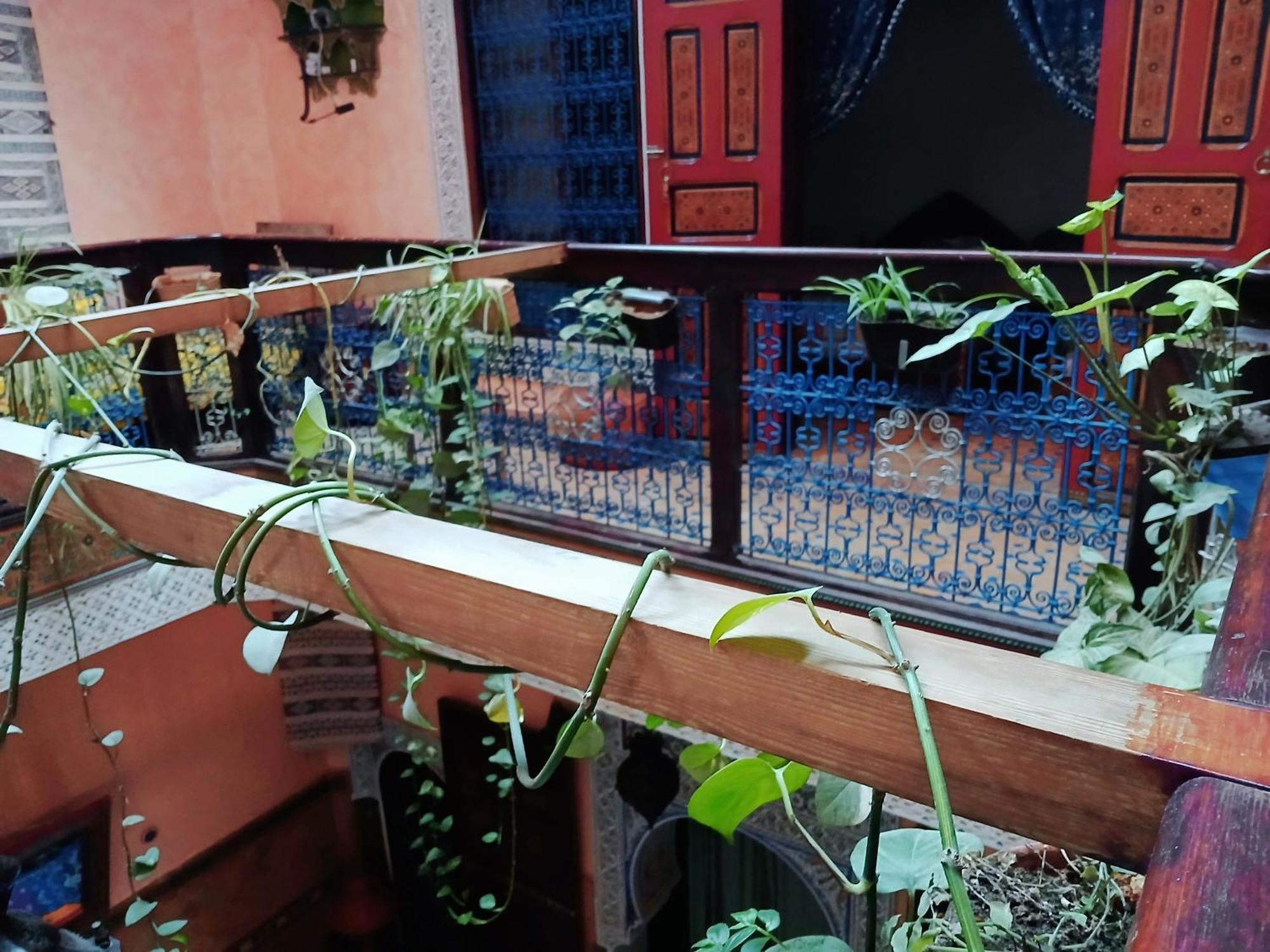 Riad Idrissi メクネス エクステリア 写真